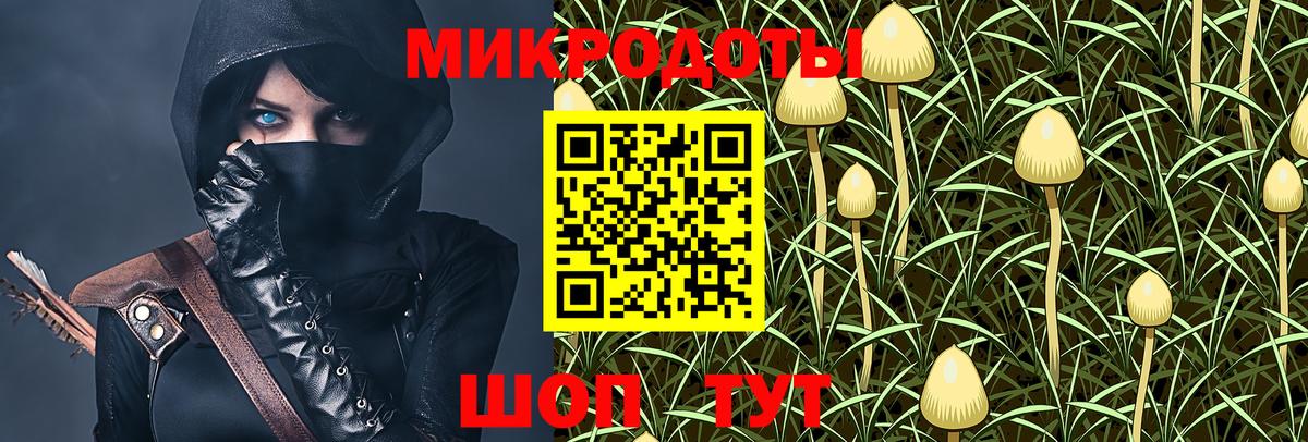 Пенза  Галлюциногенные грибы ЛСД  Вход с VPN 