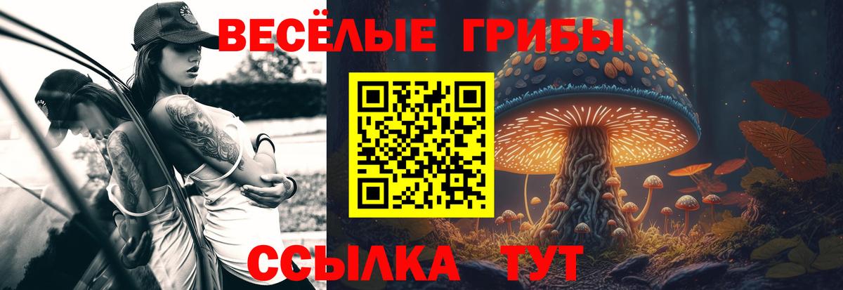 Галлюциногенные грибы MAGIC MUSHROOMS Пенза